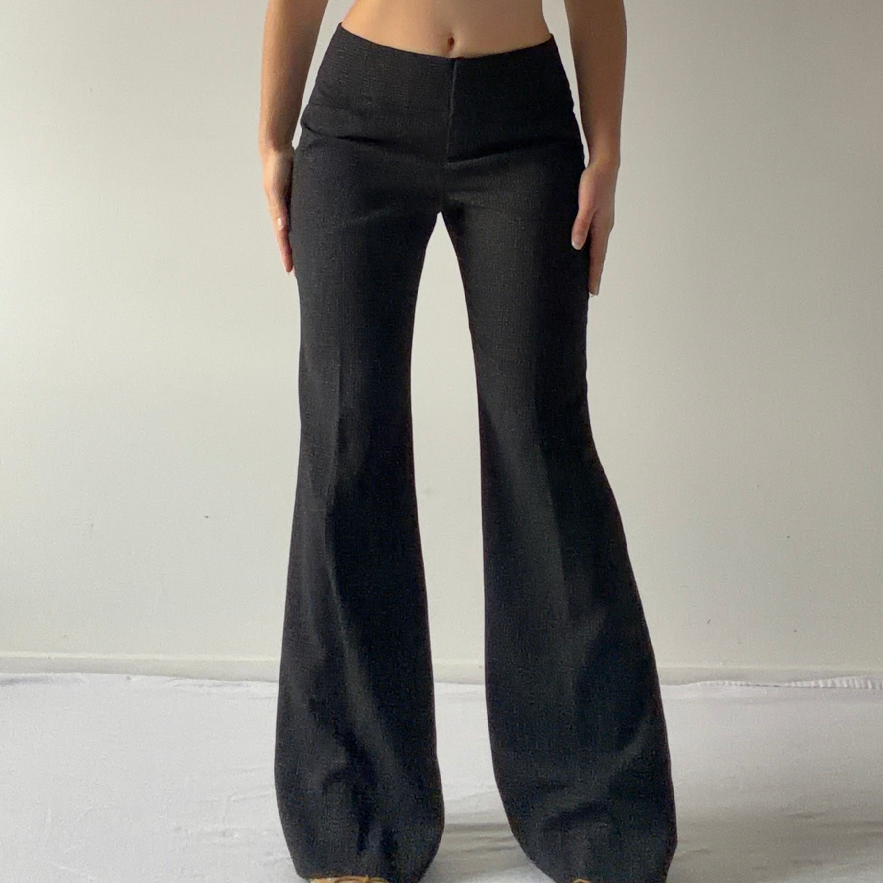 The Limited Wide Pants | S