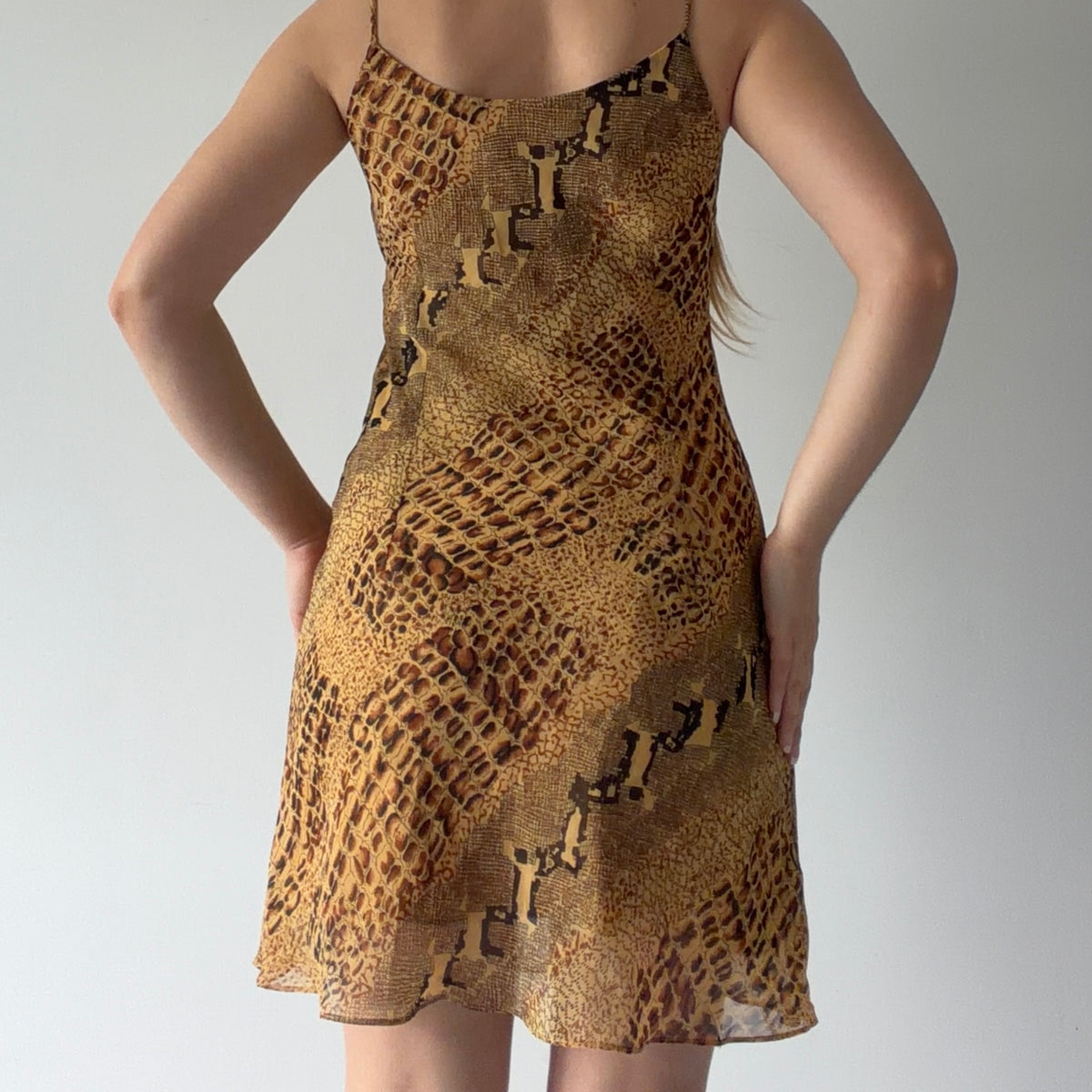 Snake Print Midi Dress | M